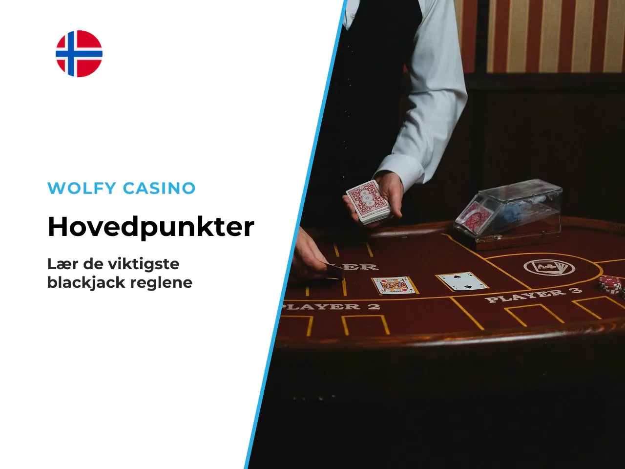 Hovedpunkter i korte trekk