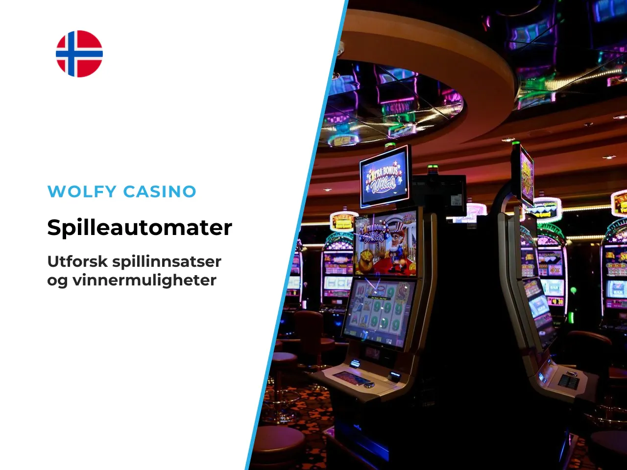 Innsats, spinn og vinnerkombinasjoner. Innsatsområdet i