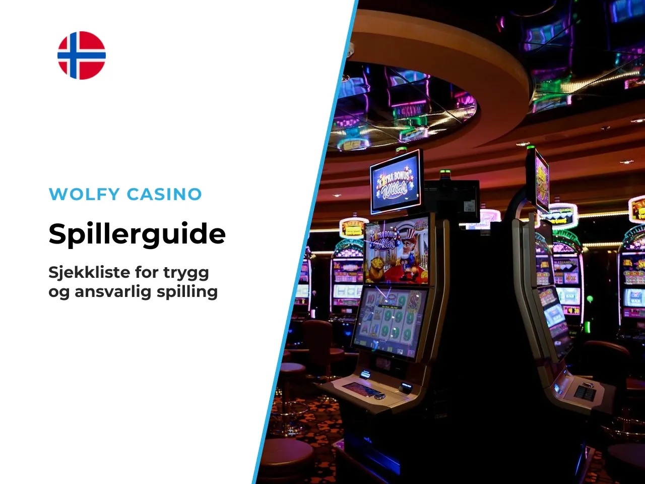 SJEKKLISTE FOR SPILLERE Interaktiv sjekkliste før