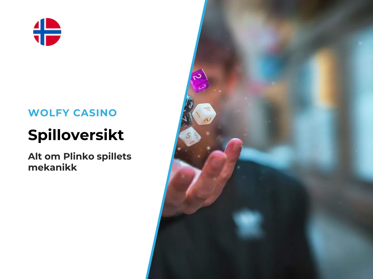 Det viktigste i korte trekk