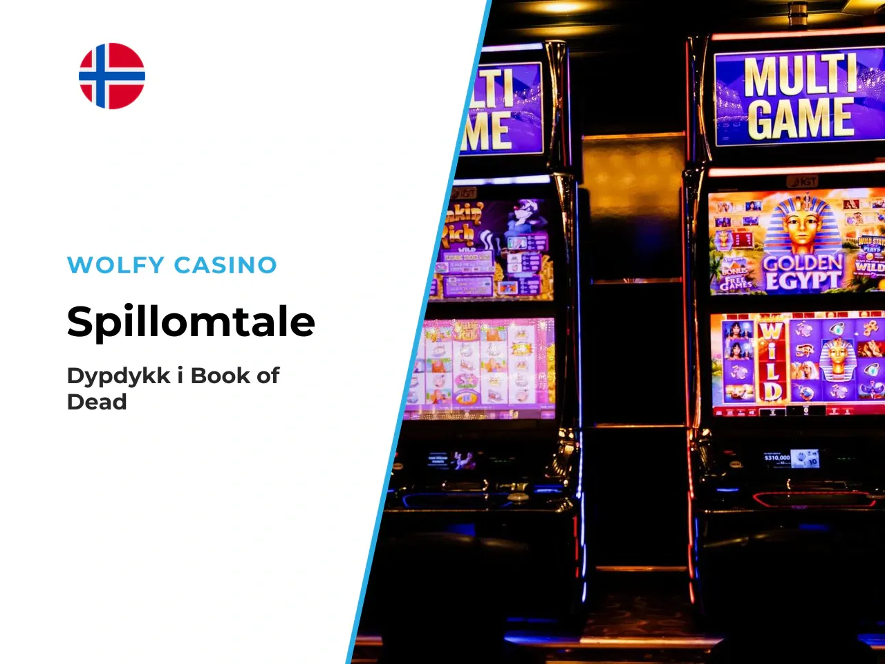 Book of Dead slot oversikt over