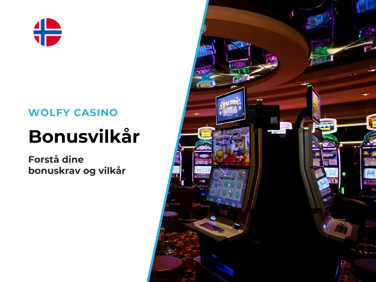 Nøkkelpunkter du bør kontrollere i bonusvilkårene